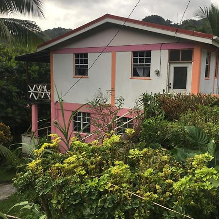 Anthurium Apartment ロゾー エクステリア 写真