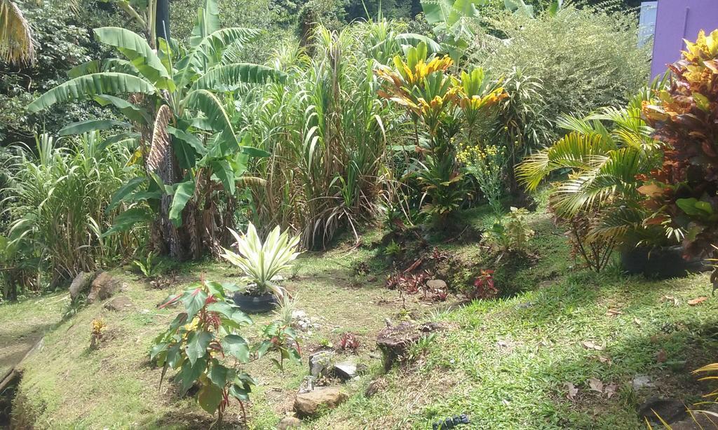 Anthurium Apartment ロゾー エクステリア 写真
